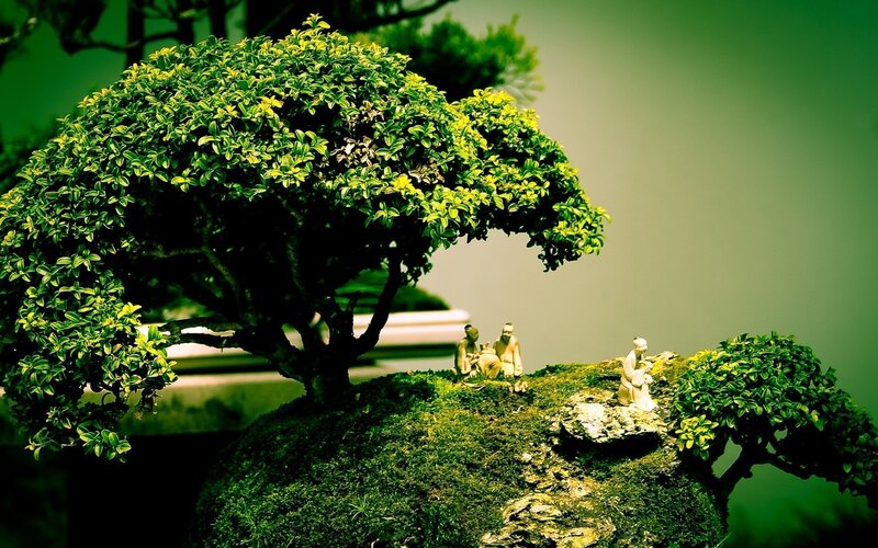 Bonsai Tree with Figurines — Green, Serene