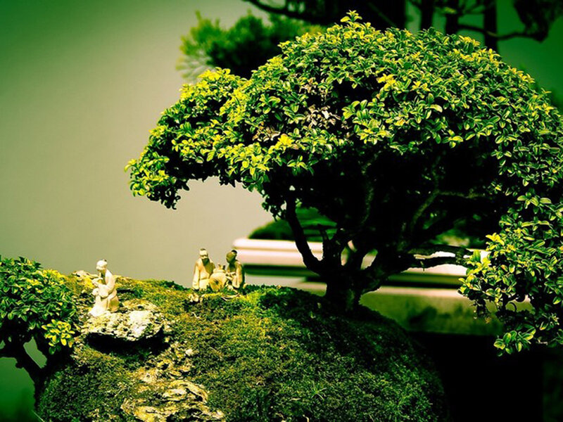 Bonsai Tree with Figurines — Green