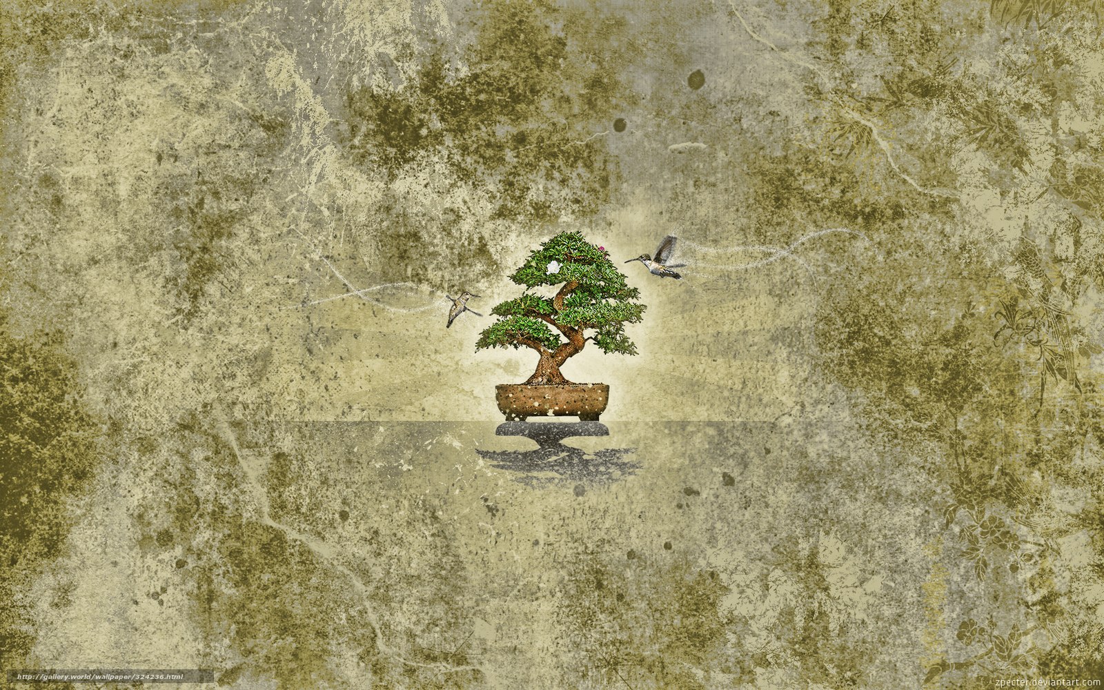 Bonsai tree with hummingbirds