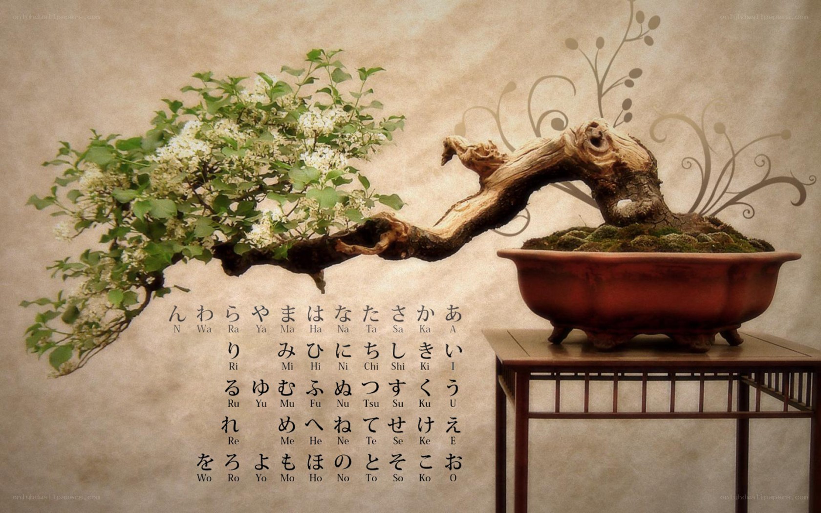 Bonsai tree with Japanese characters