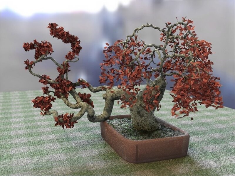 Bonsai tree with red leaves