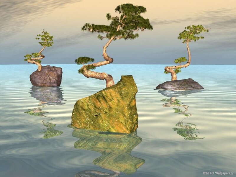 Bonsai trees on rocks in water