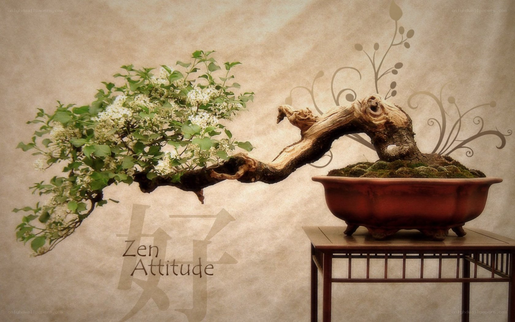 Bonsai with white flowers
