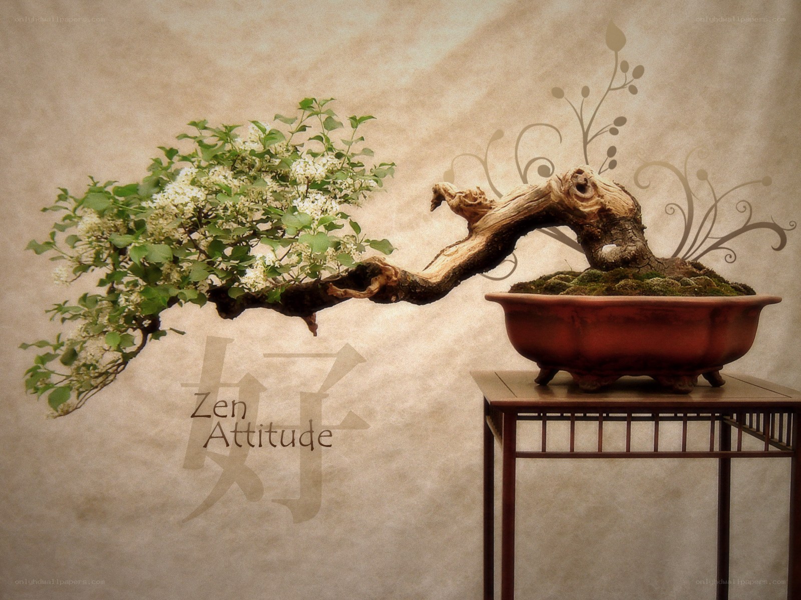 Bonsai with Zen Attitude