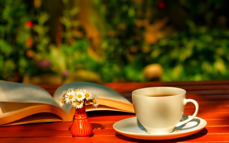 Book and Cup on Table