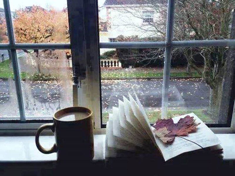 Book and Mug on Windowsill — Brown