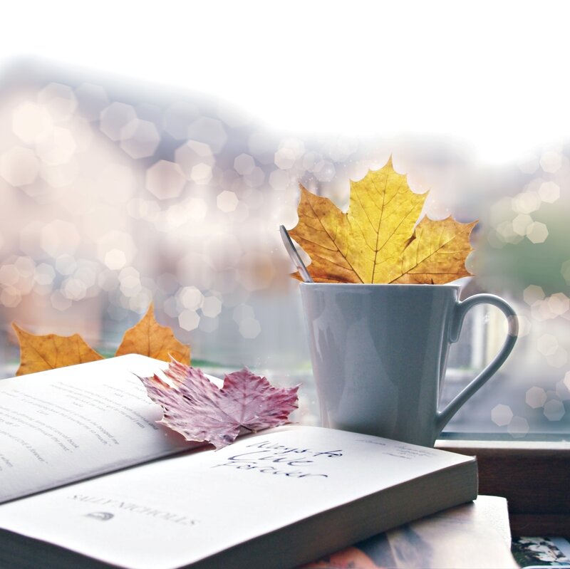 Book and Mug on Windowsill