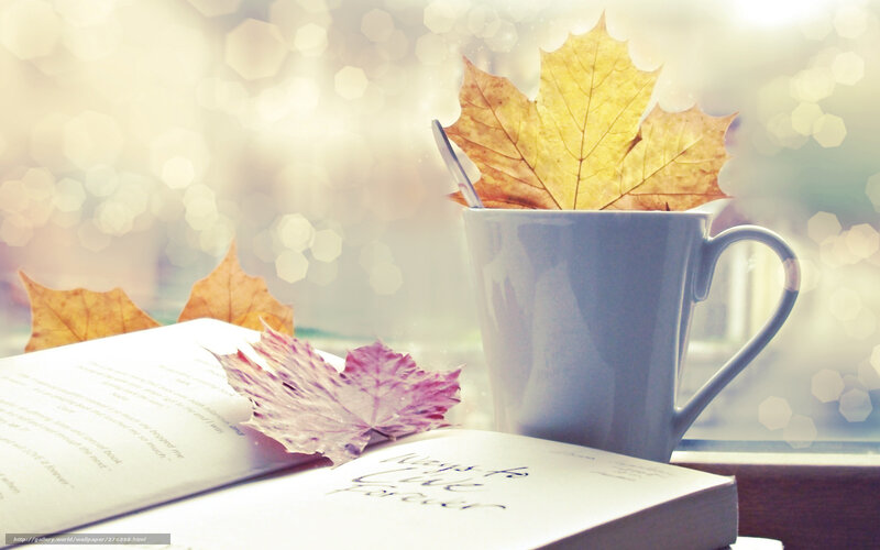 Book and Mug with Leaves — White