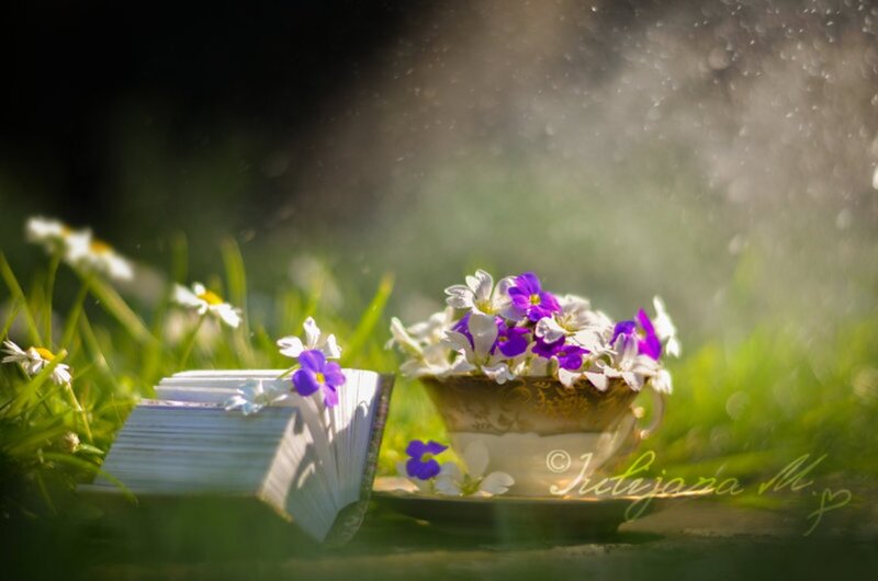 Book and Teacup with Flowers