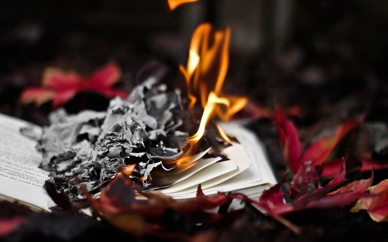book burning with autumn leaves