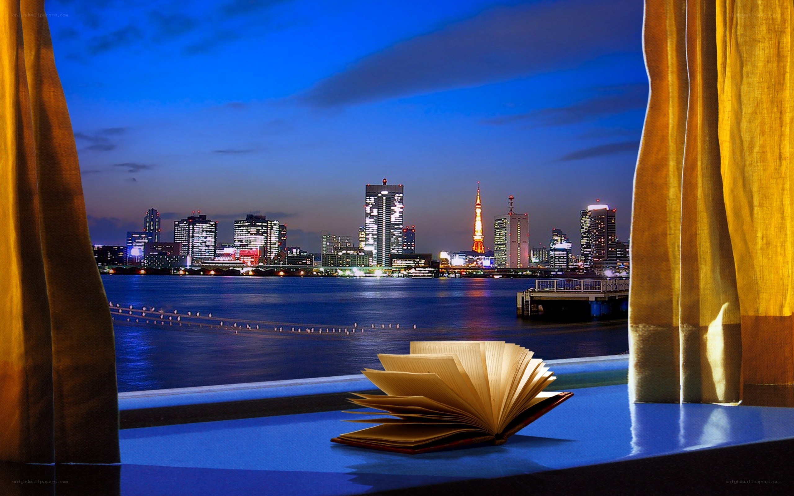 Book by the window at night