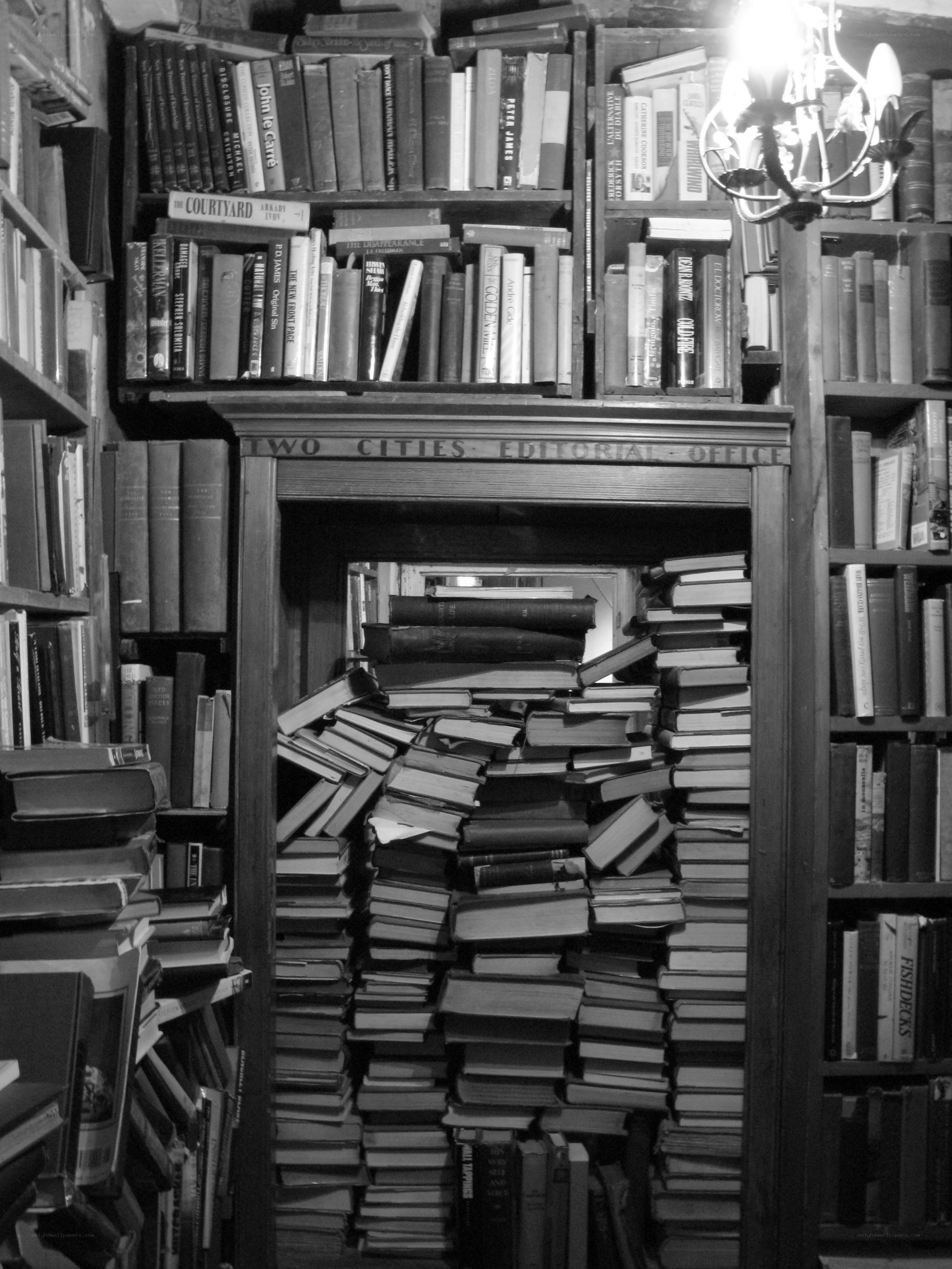 Book-filled library interior