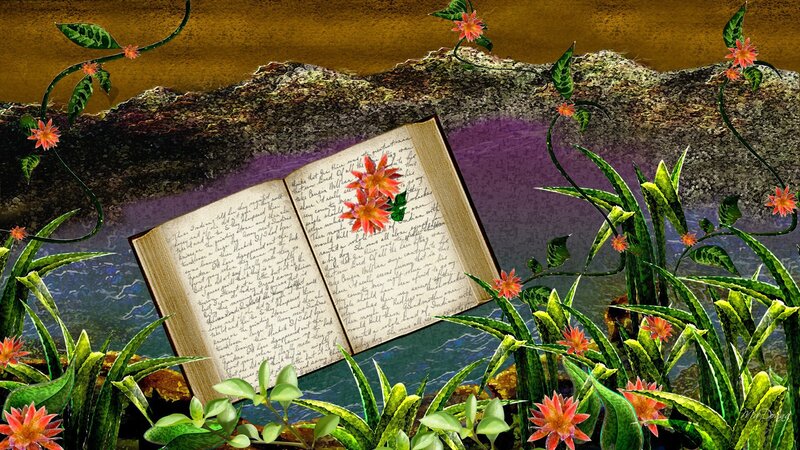 book in a garden