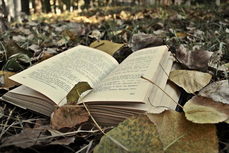 book in autumn leaves