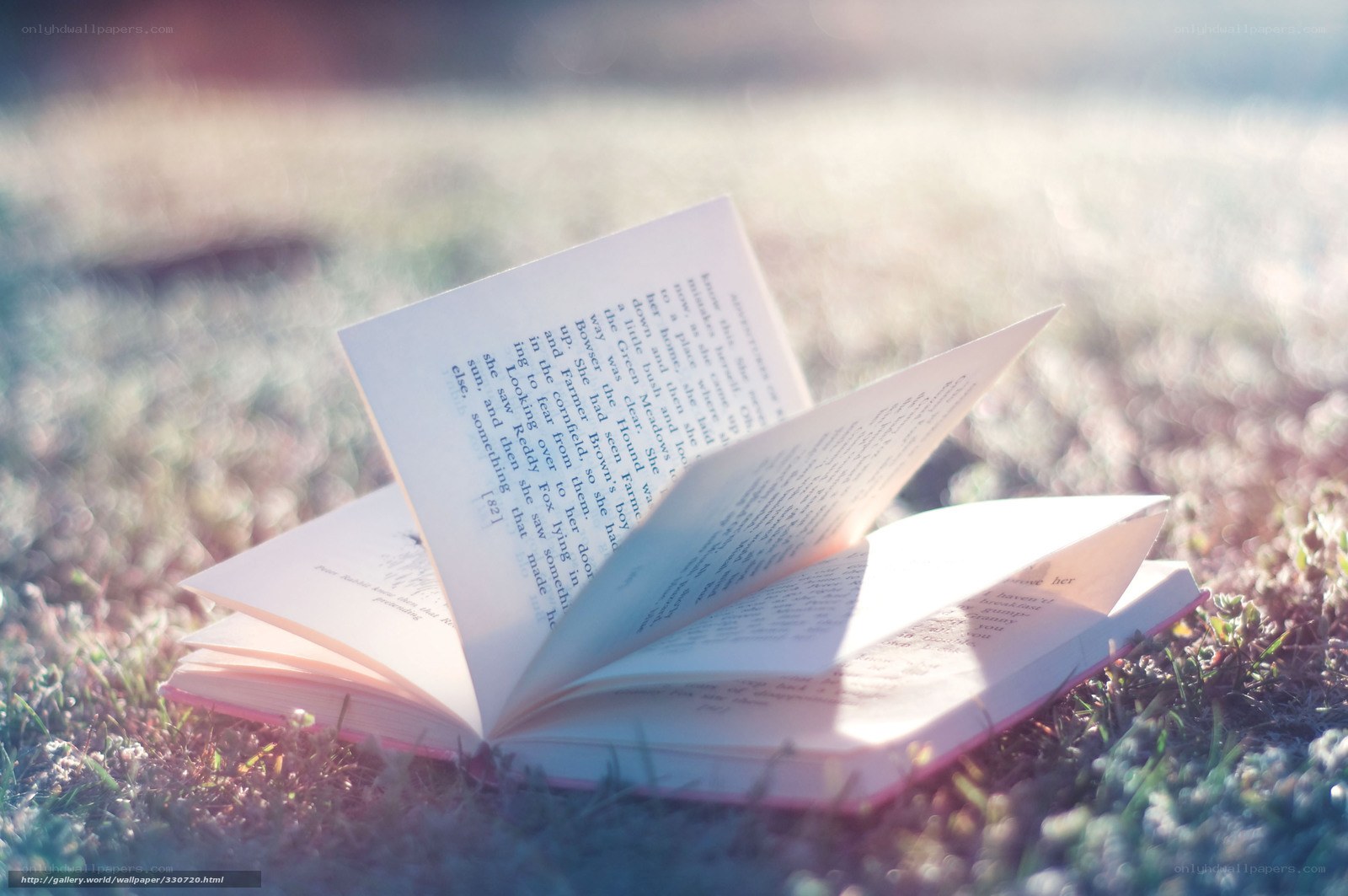 book in grass at sunrise