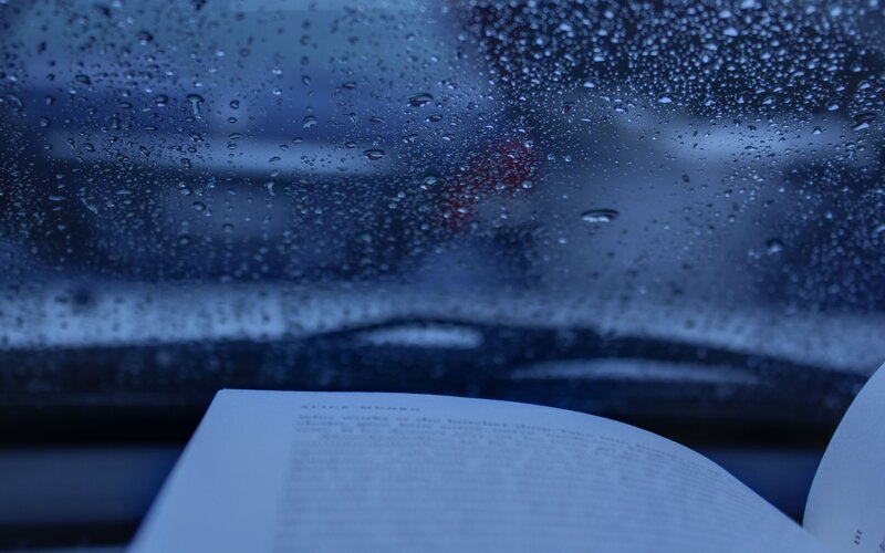 Book in rain-soaked car