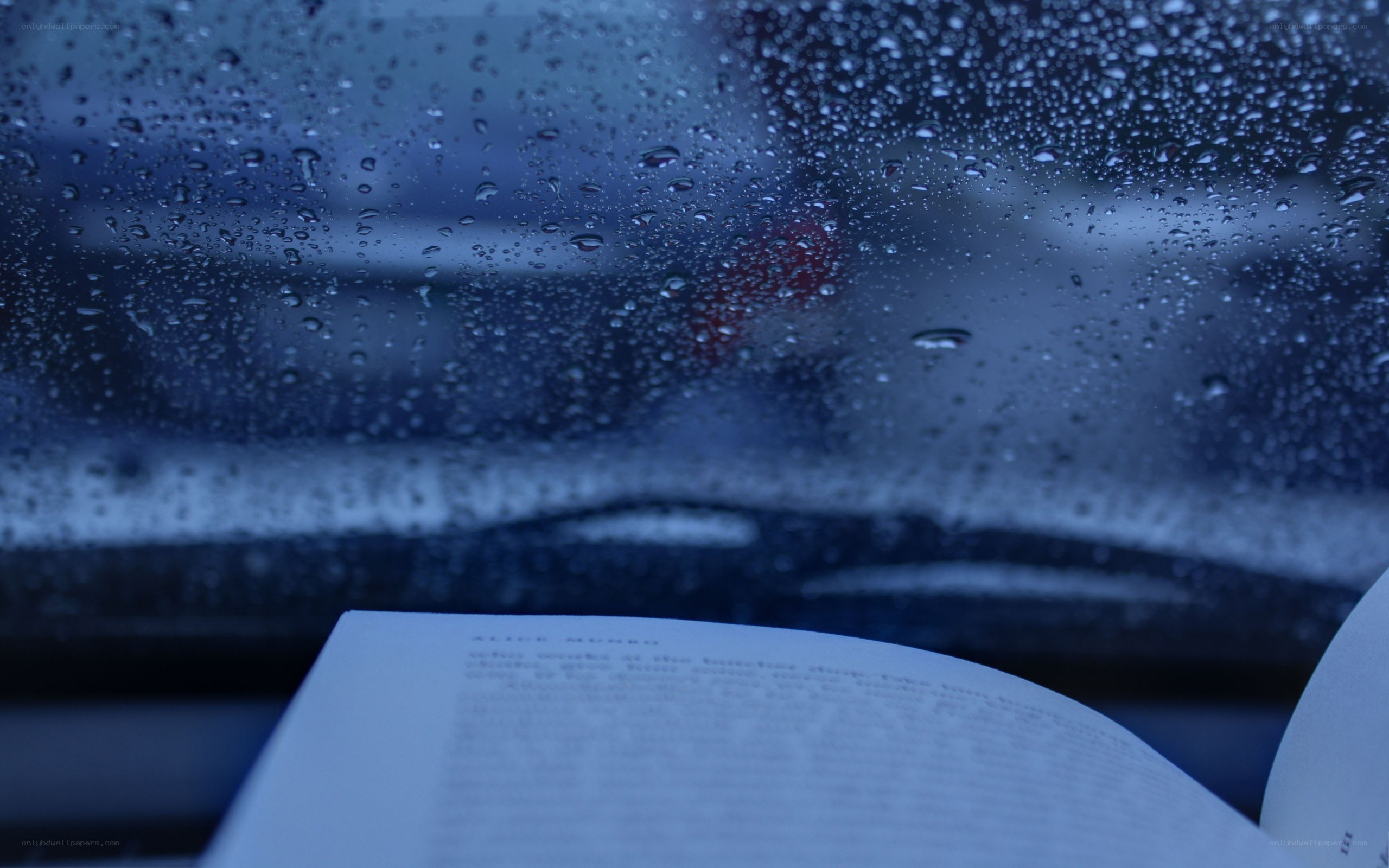 Book in rain-soaked car