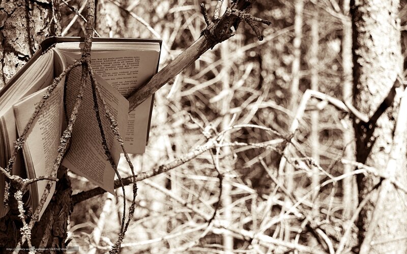 Book in the forest