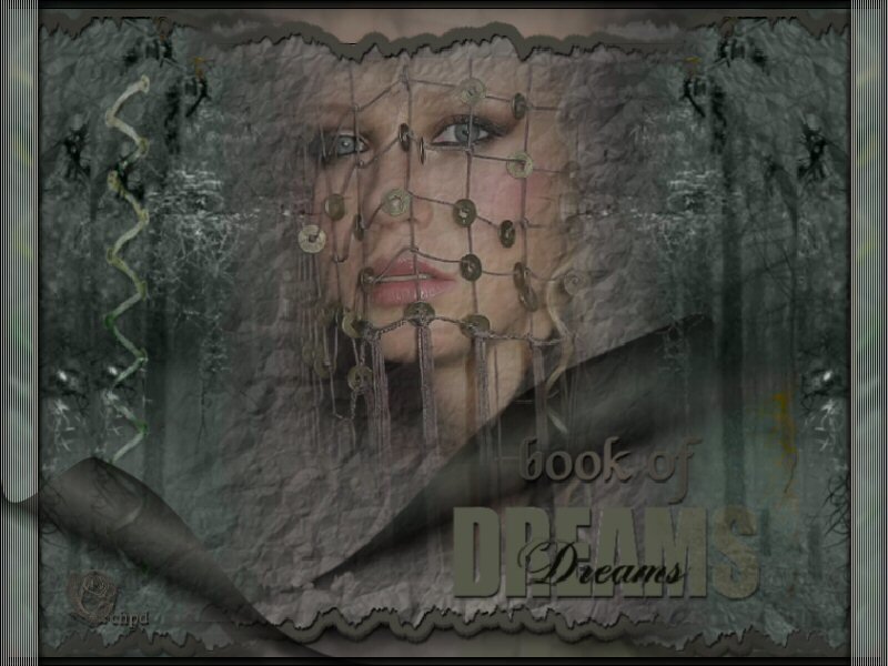 Book of Dreams artwork