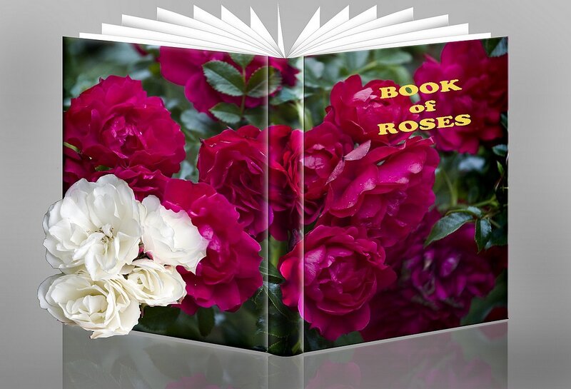 Book of Roses