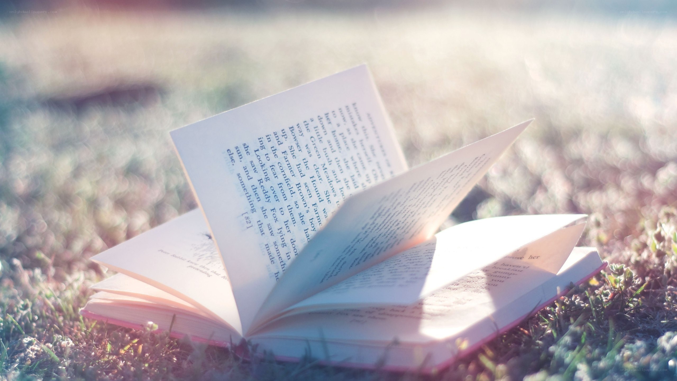 book on grass in sunlight