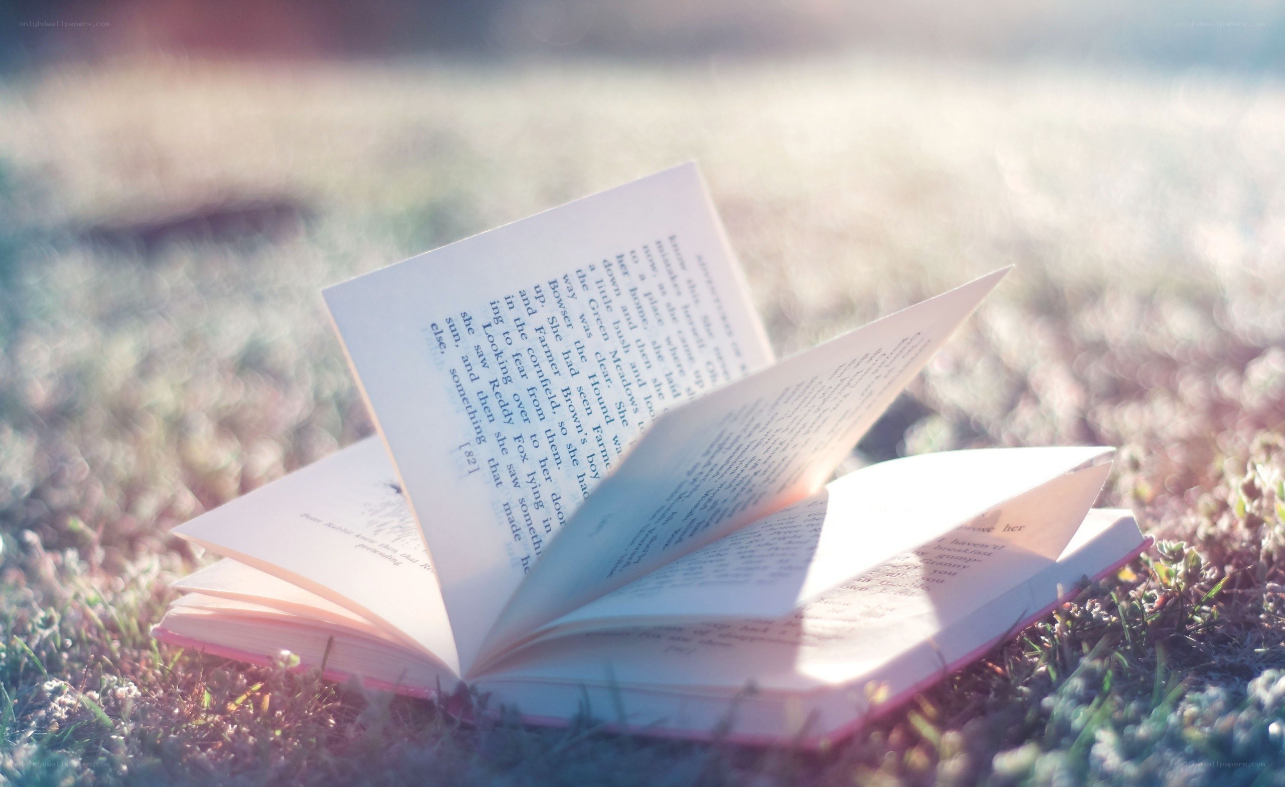book on grass in sunlight