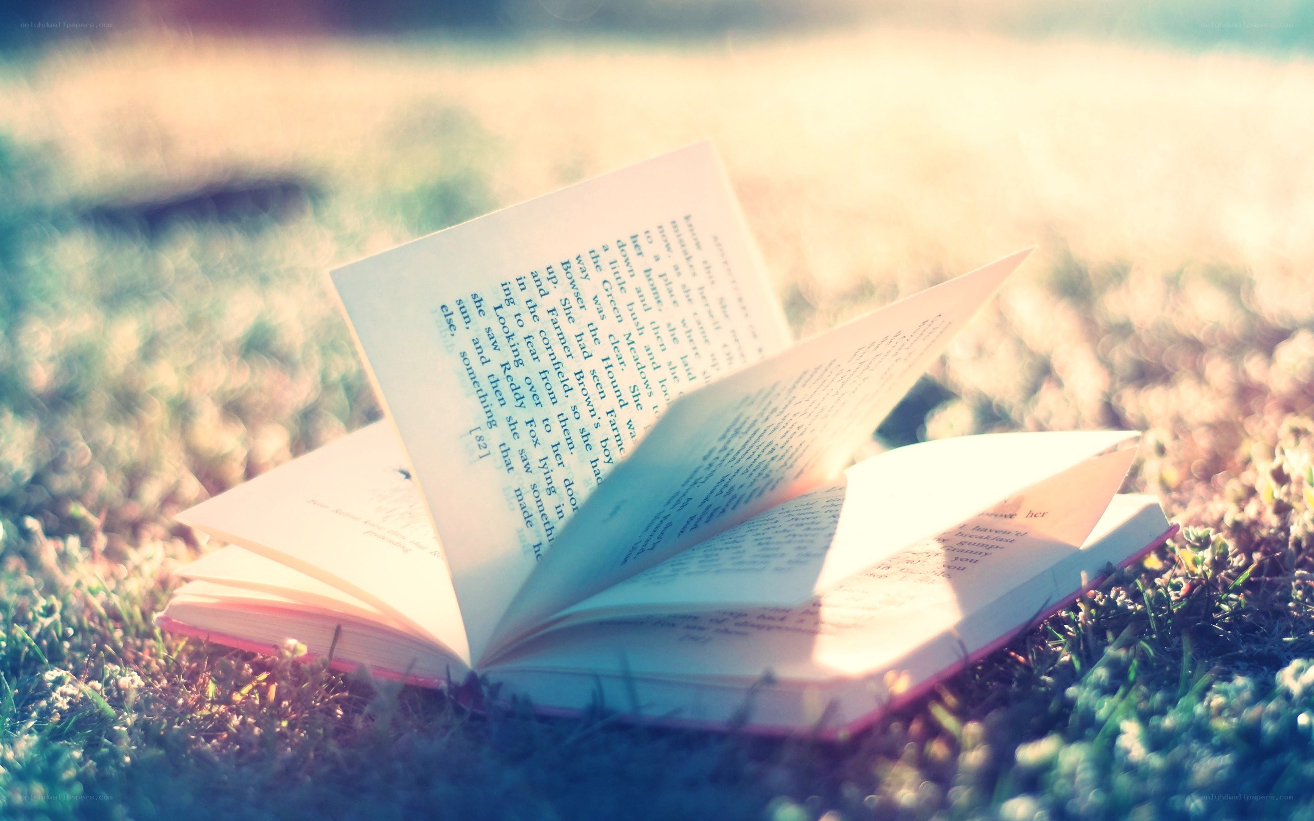 book on grass in sunlight