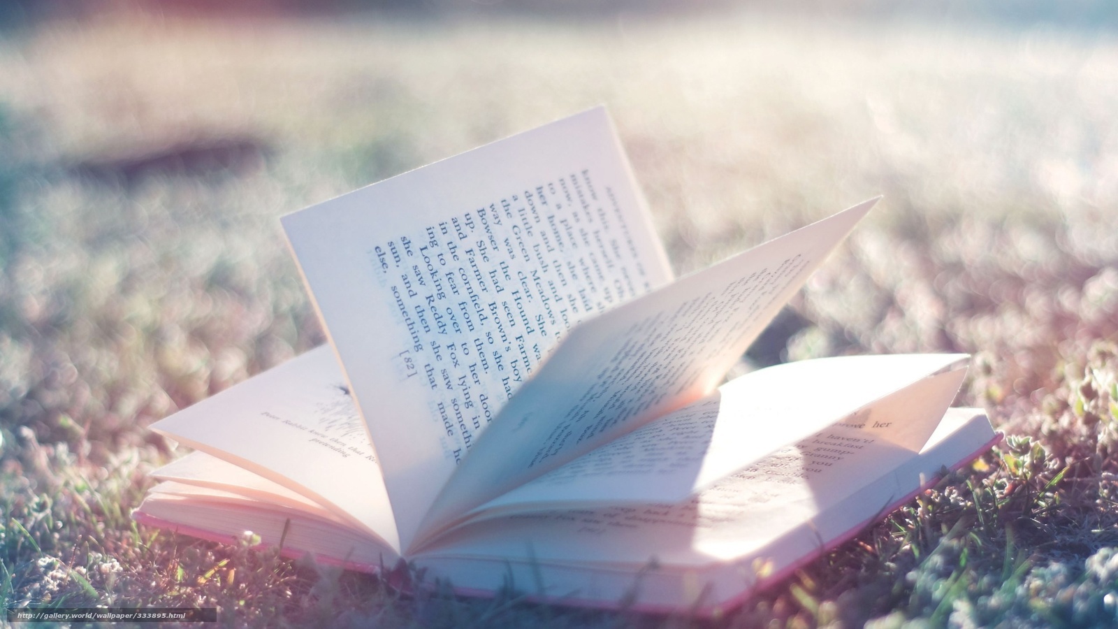 book on grass in sunlight