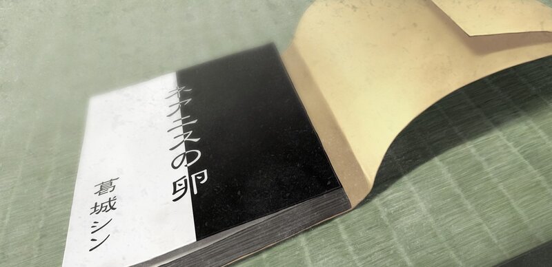 Book on Tatami Mat