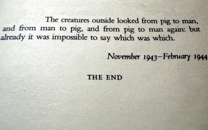 Book Page with Text — White, Neutral