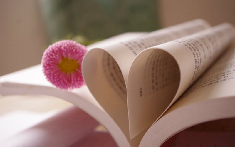 Book Pages Folded into Heart — Pink, Serene