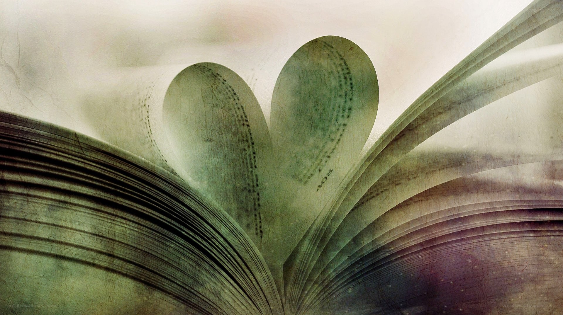 book pages forming a heart
