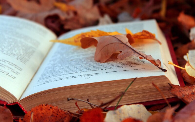 book with autumn leaves