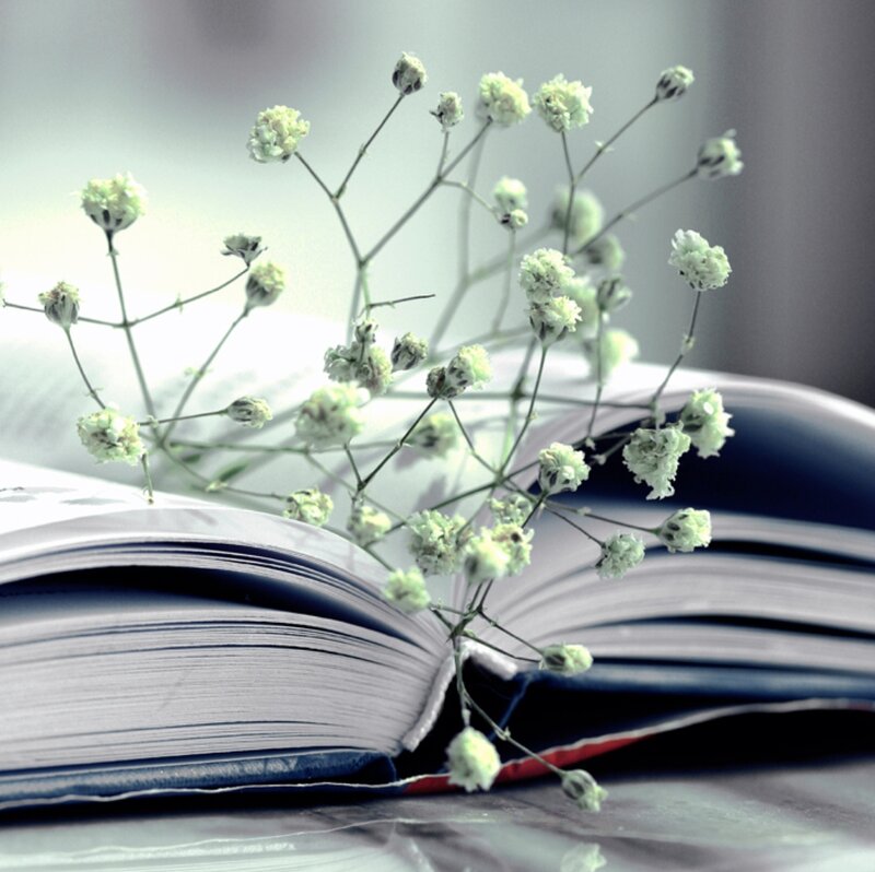 Book with Baby's Breath