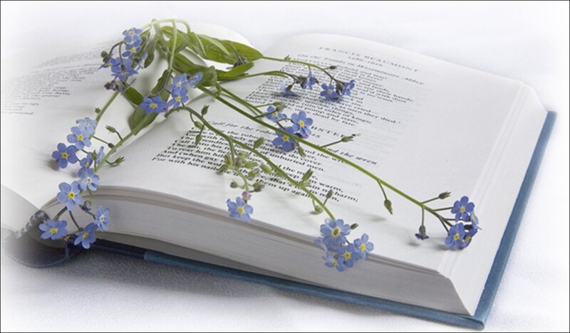 Book with Blue Flowers