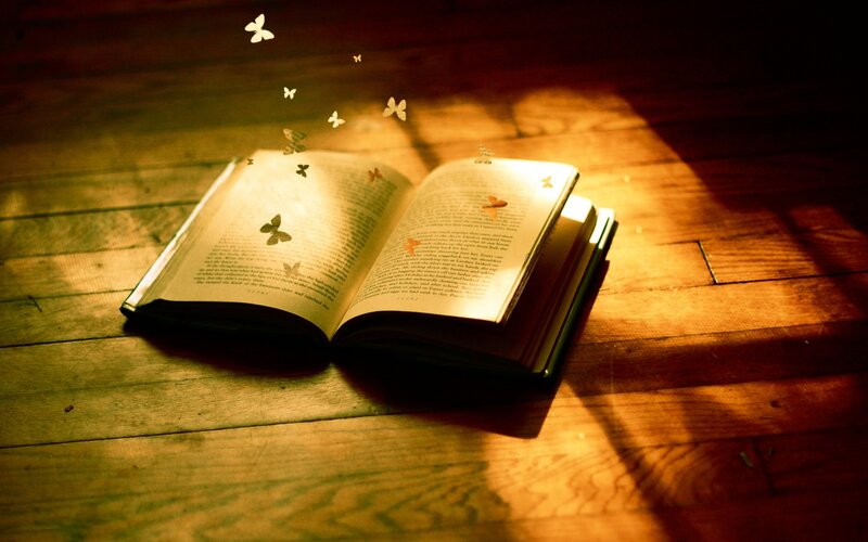 book with butterflies on wood