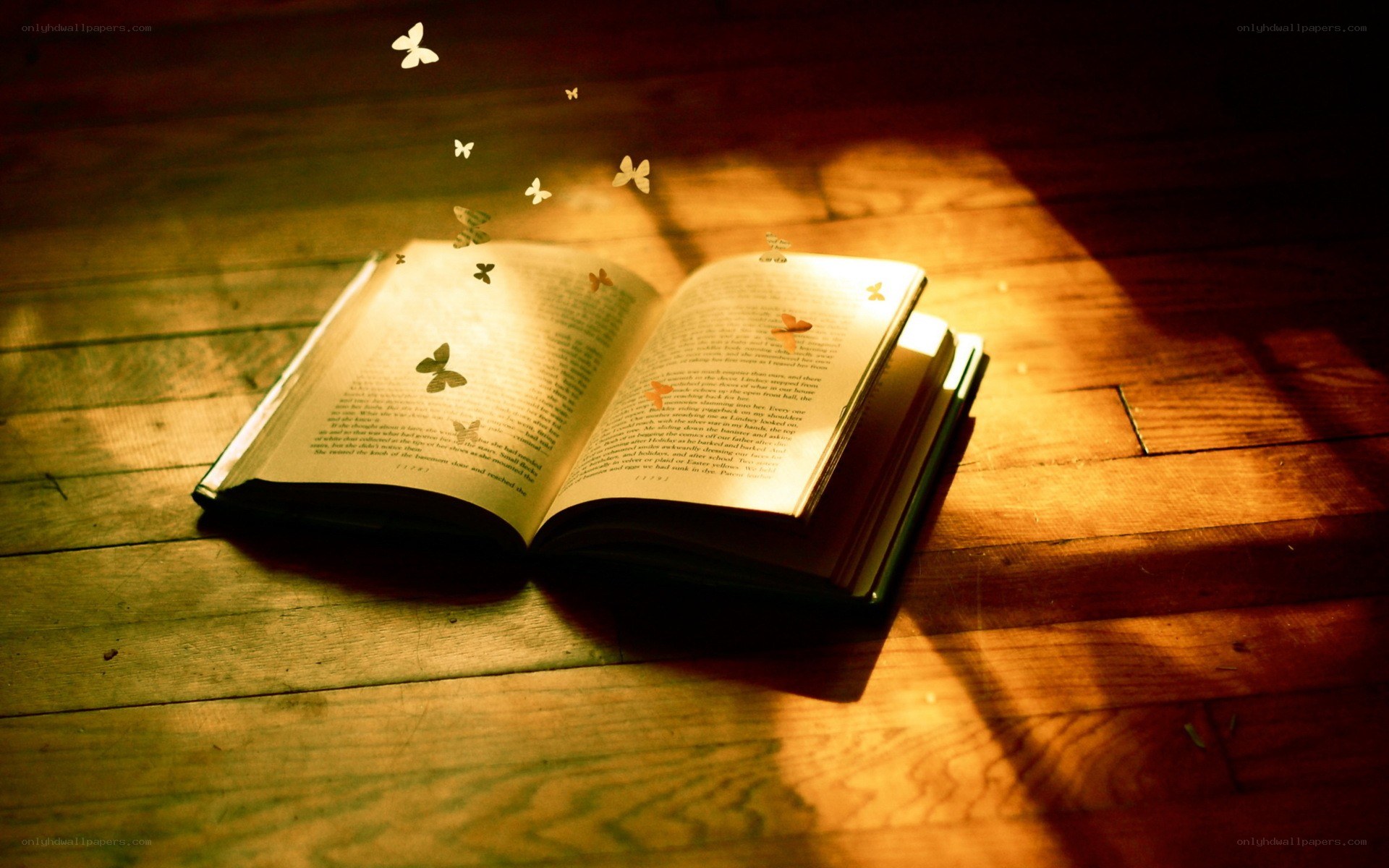 book with butterflies on wood