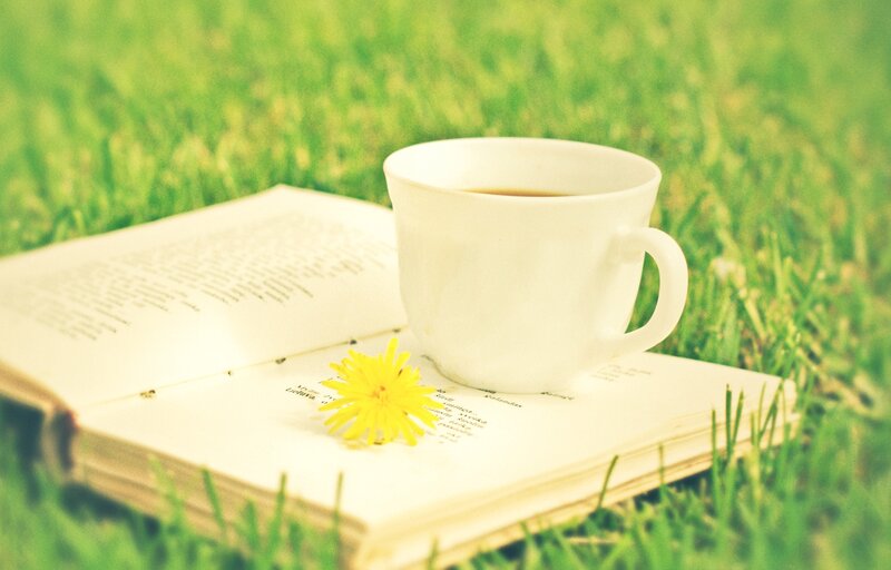Book with Cup and Flower