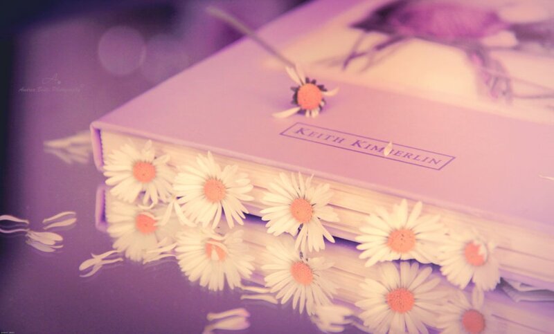 Book with Daisies