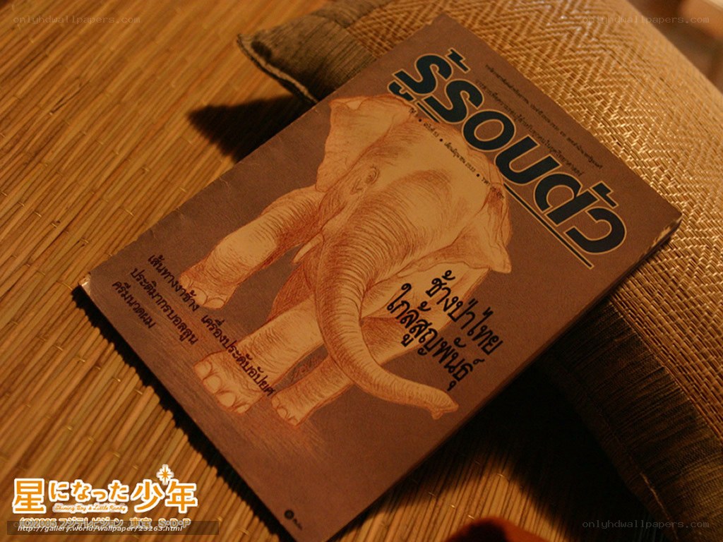 book with elephant illustration