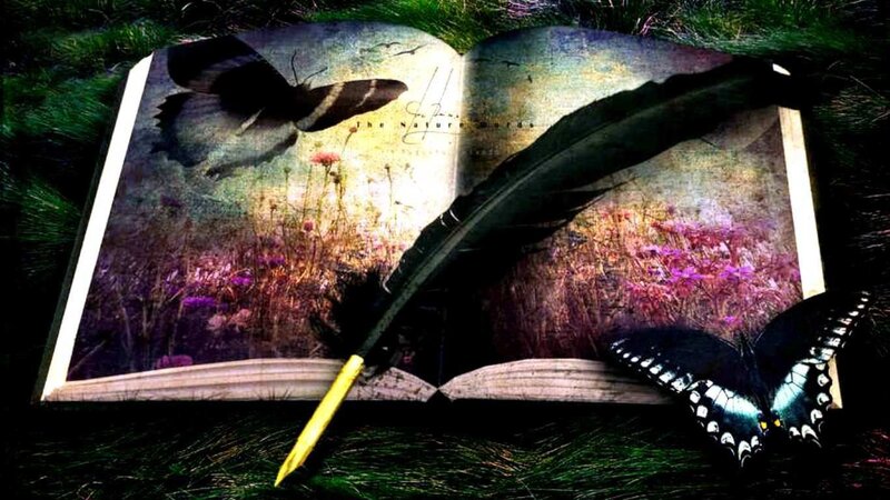 book with feather quill and butterflies