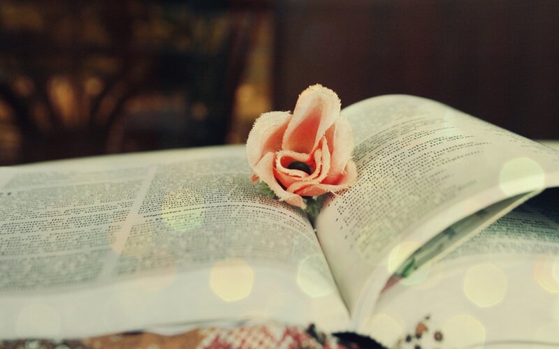 book with flower bookmark