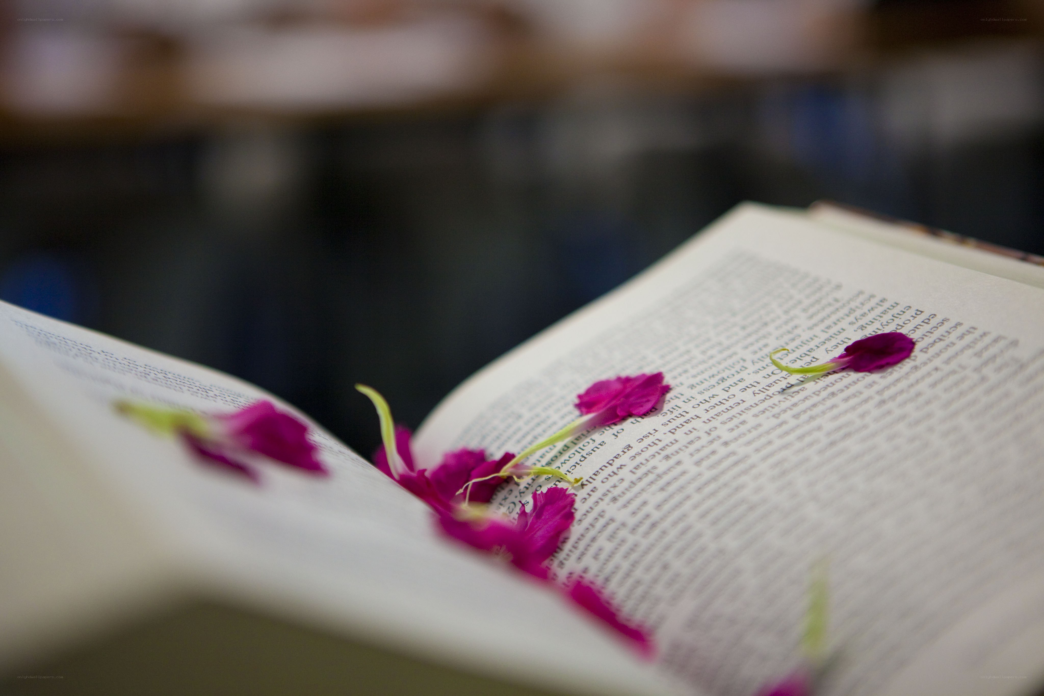 book with flower petals