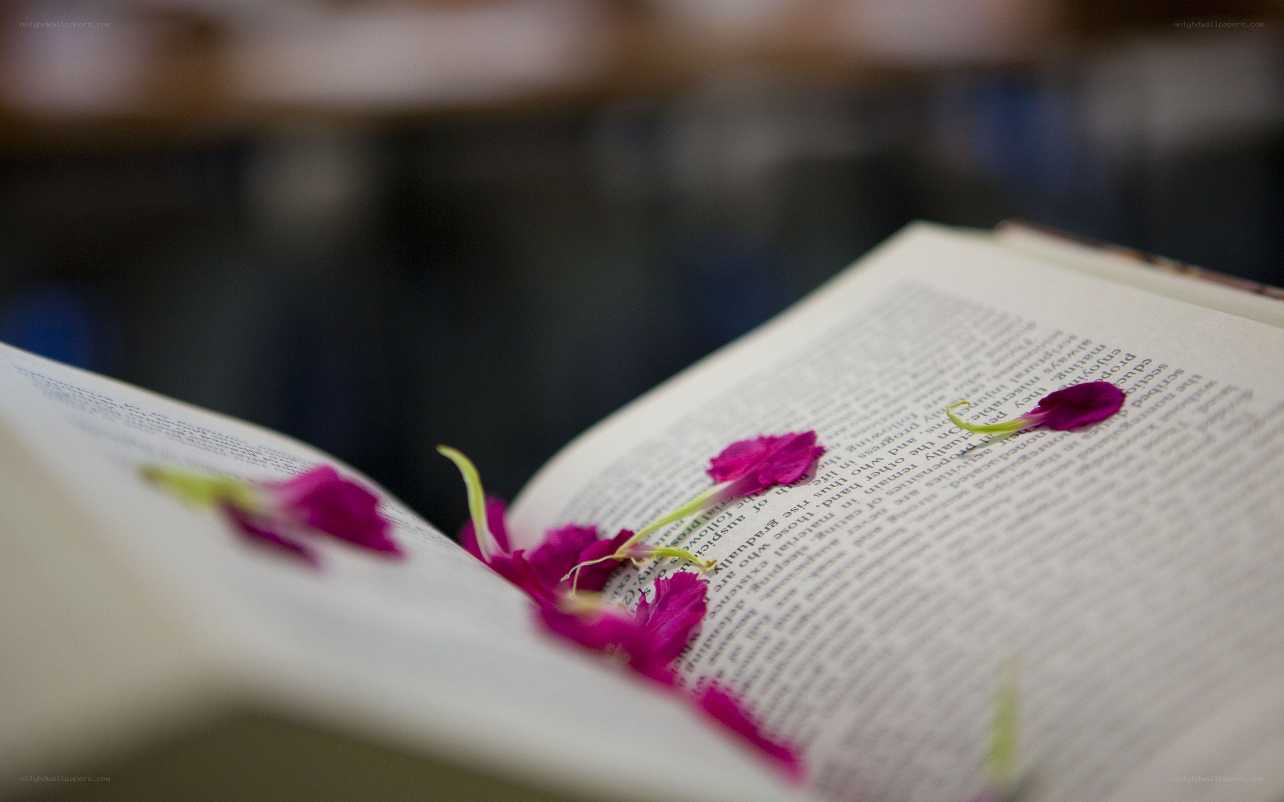 book with flower petals