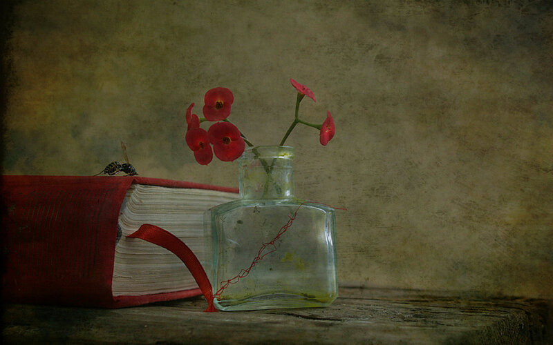 Book with Flowers and Bee
