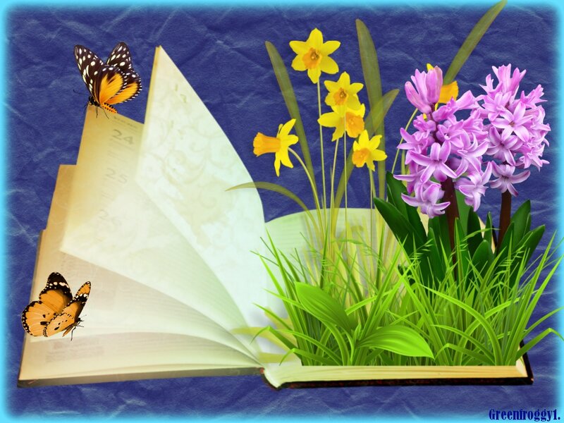 Book with Flowers and Butterflies — Blue