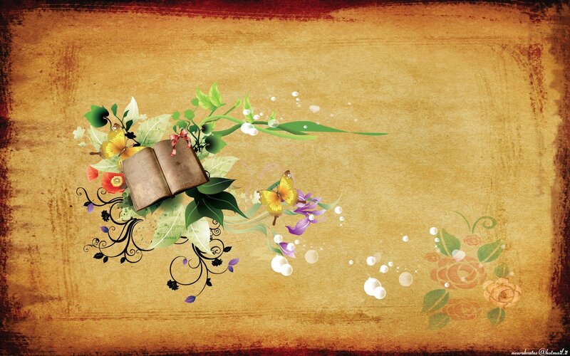 book with flowers and butterflies