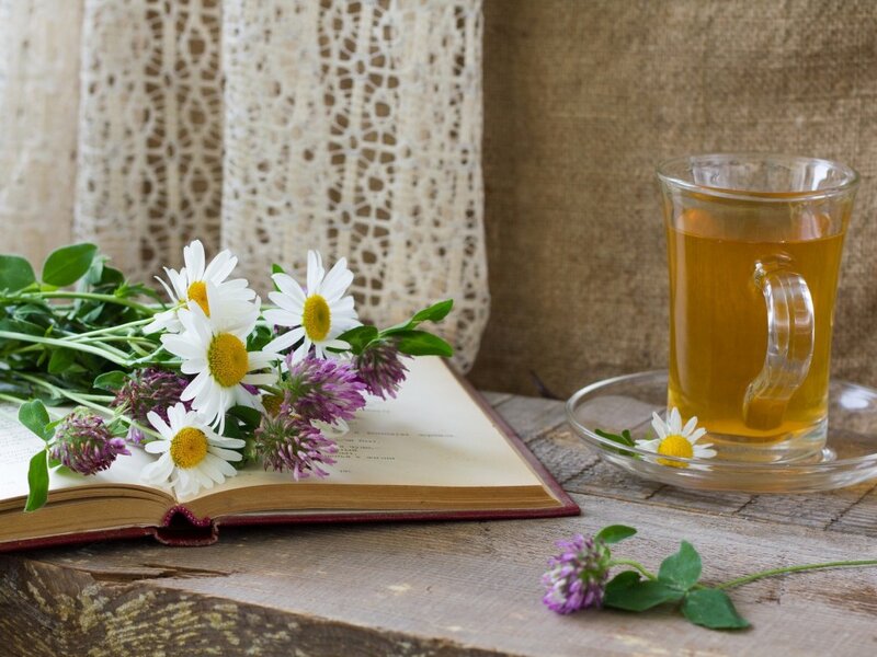 Book with Flowers and Tea — Brown