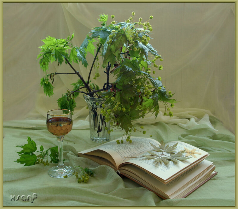 Book with Flowers and Wine