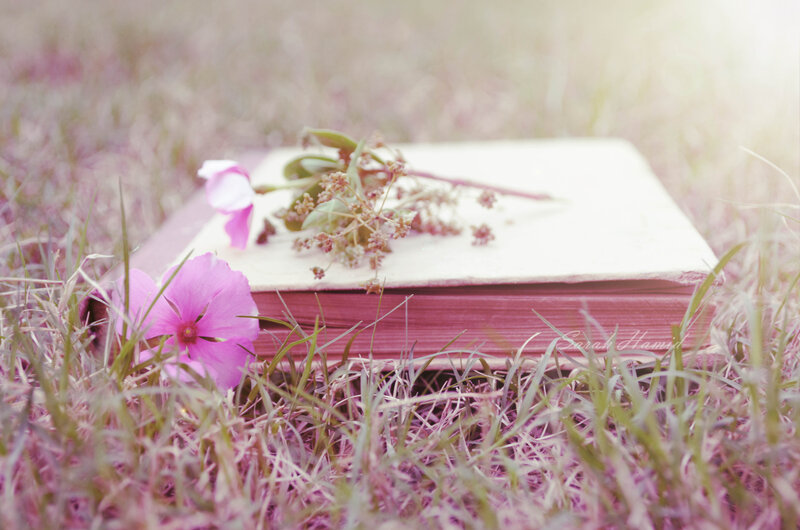 Book with Flowers in Grass